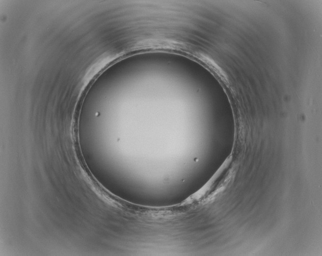 X0000060810893200511241932