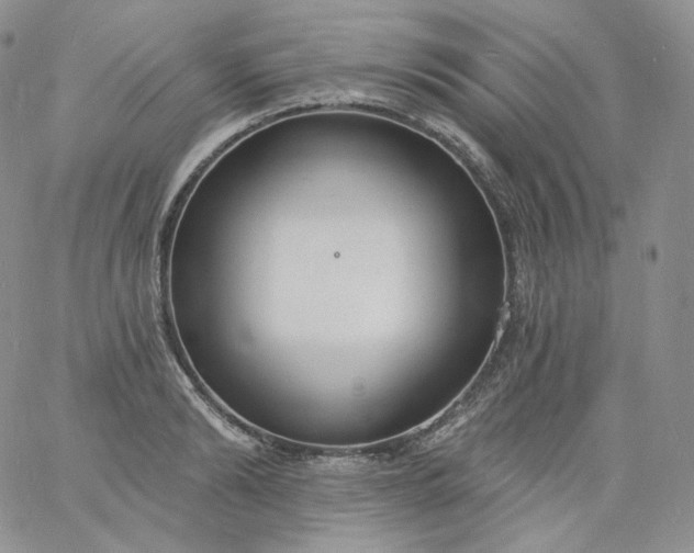 X0000060810894200511241932