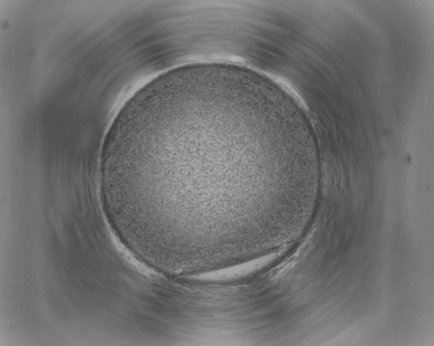 X0000060810895200511241932