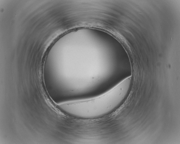 X0000060810896200511241932