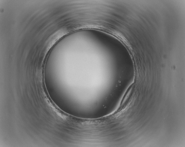 X0000060810898200511241932