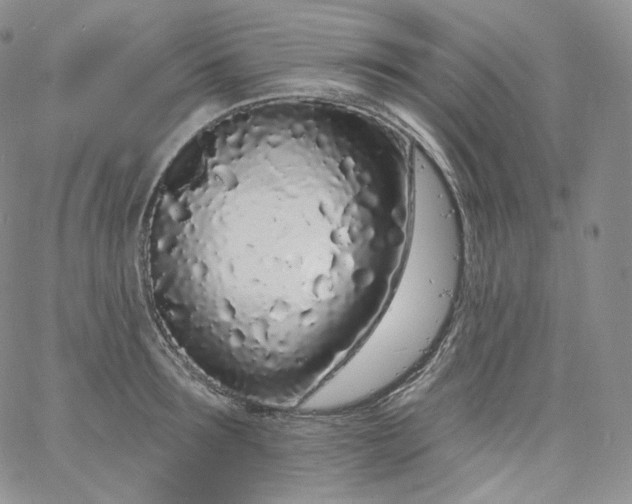 X0000060810899200511241932