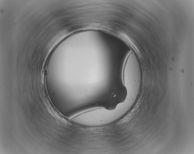 X0000060810900200511241932