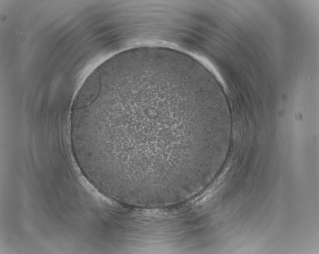 X0000060810903200511241932