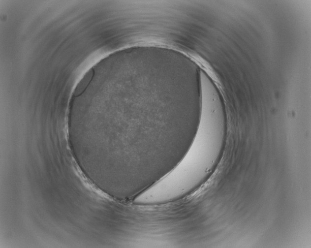 X0000060810904200511241932