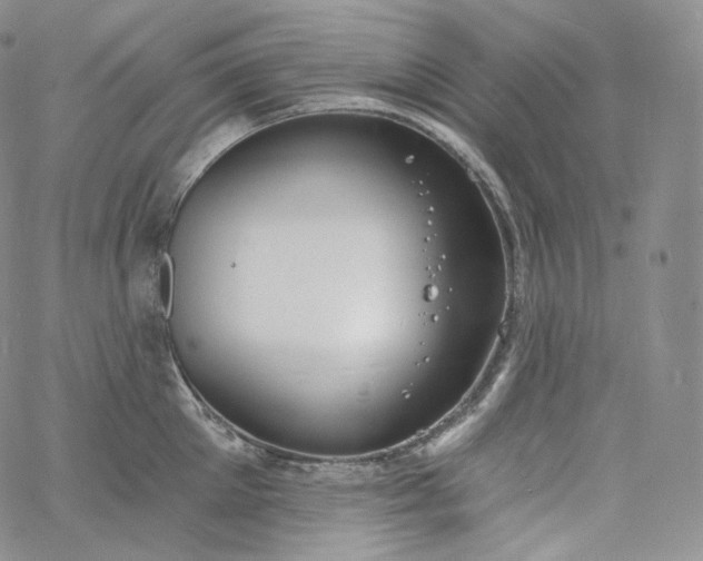 X0000060810905200511241932