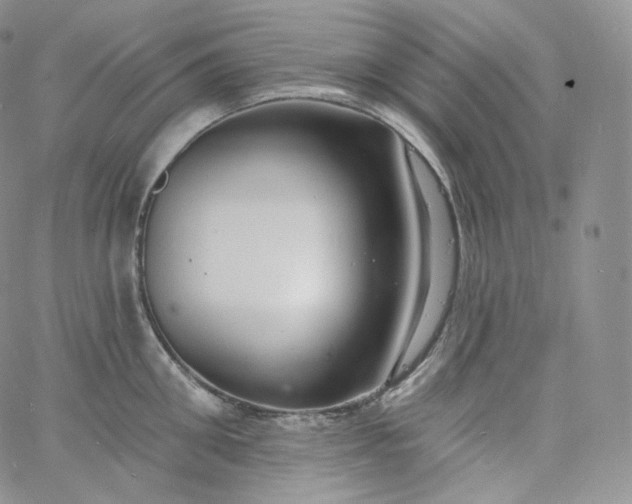 X0000060810906200511241932