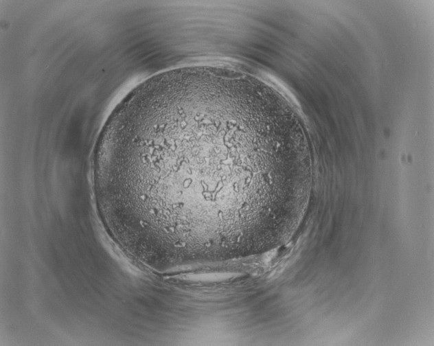 X0000060810907200511241932