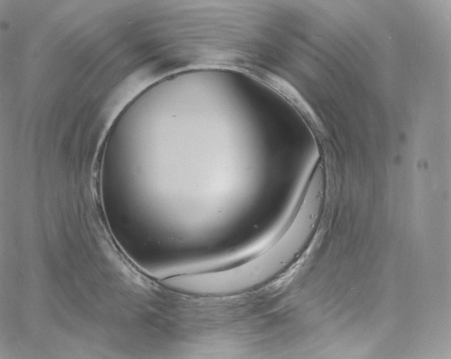 X0000060810908200511241932