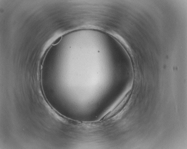 X0000060810910200511241932