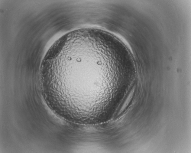 X0000060810911200511241932