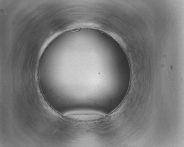 X0000060810912200511241932