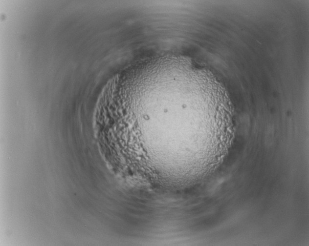 X0000060810913200511241931