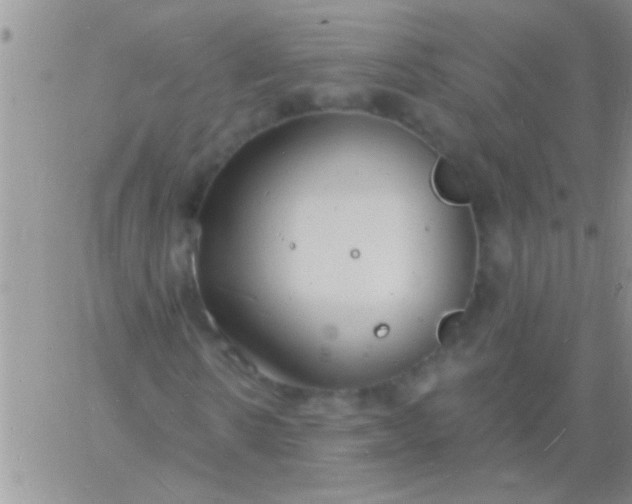 X0000060810914200511241931