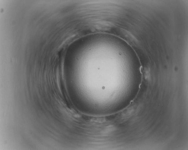 X0000060810915200511241931