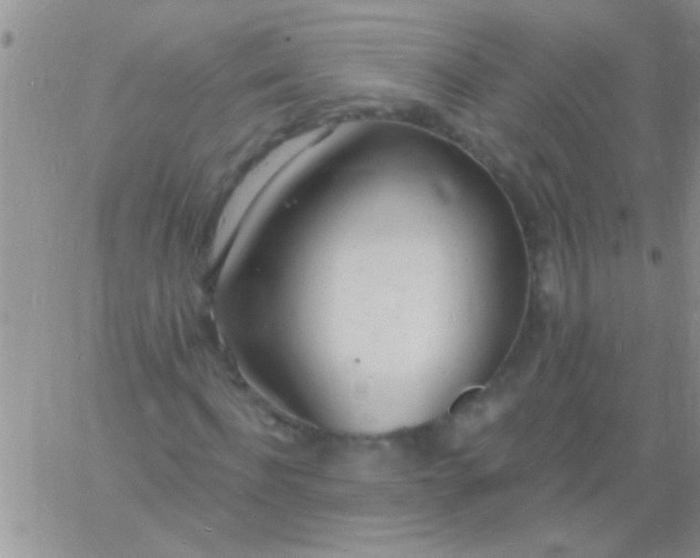 X0000060810916200511241931