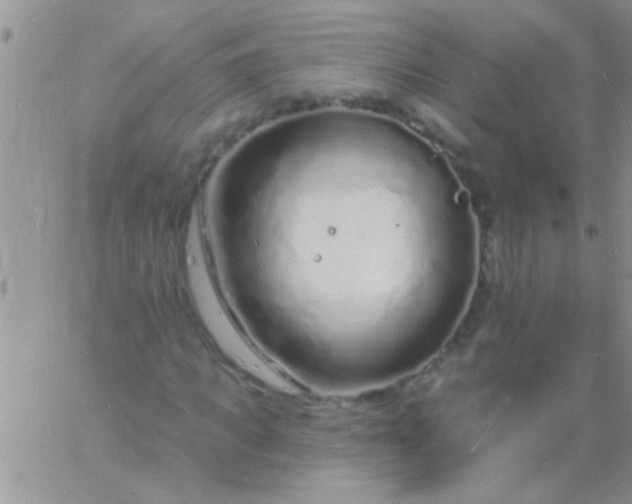 X0000060810917200511241931