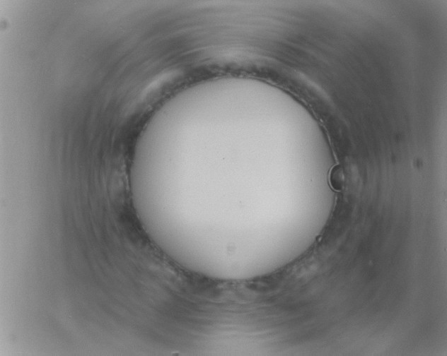 X0000060810918200511241931