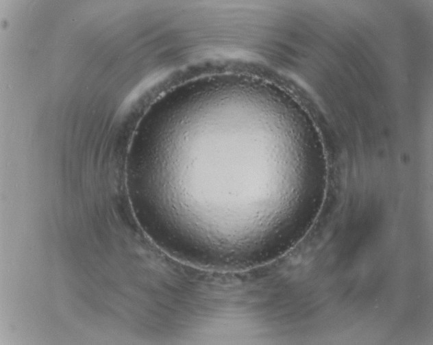 X0000060810919200511241931