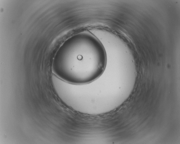 X0000060810920200511241931