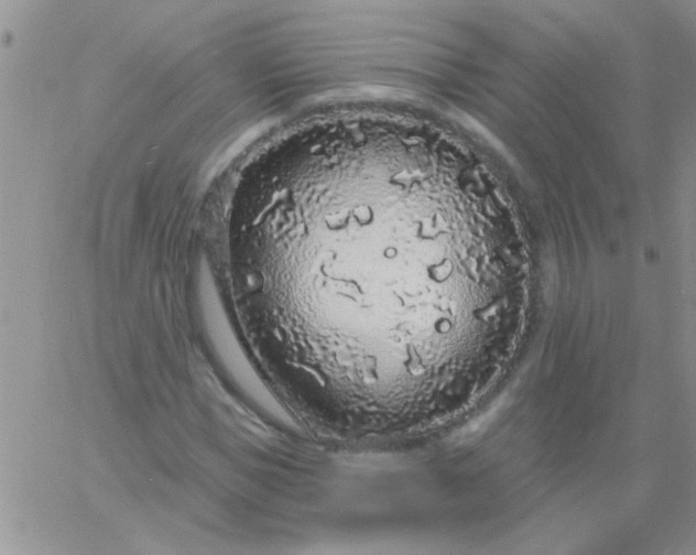 X0000060810921200511241931