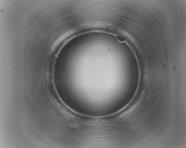 X0000060810922200511241931