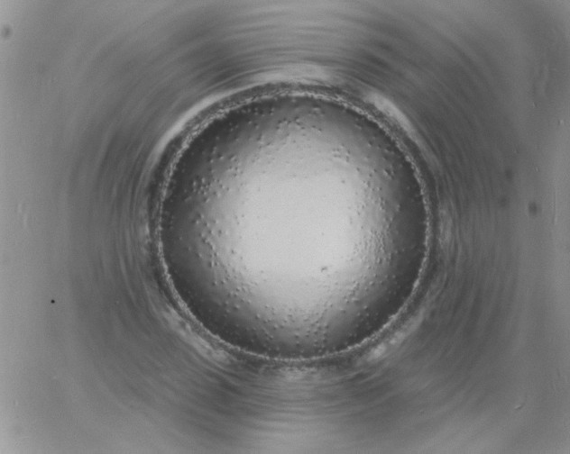 X0000060810923200511241931