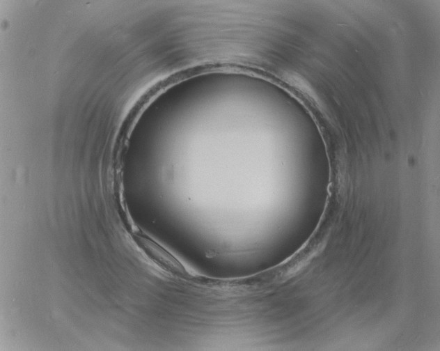 X0000060810924200511241932