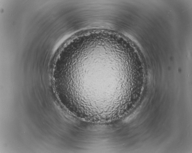 X0000060810925200511241932