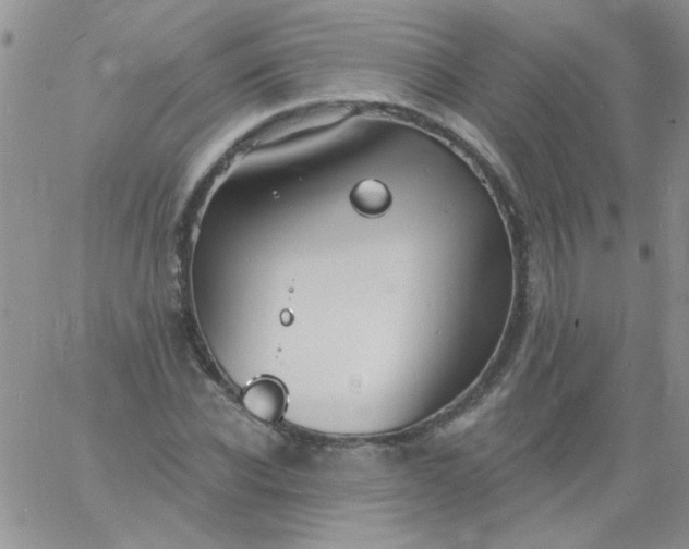 X0000060810926200511241932