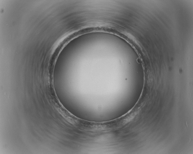 X0000060810927200511241932