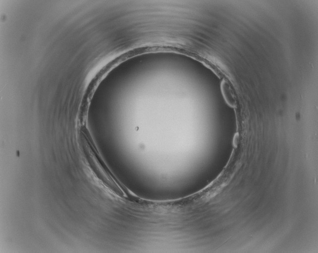 X0000060810928200511241932