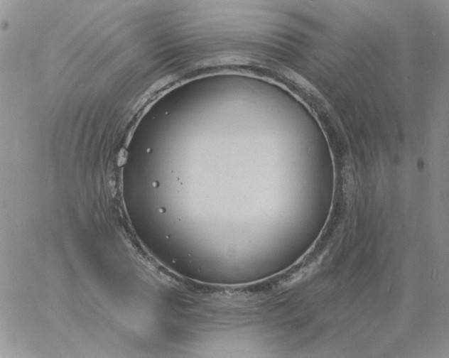 X0000060810929200511241932