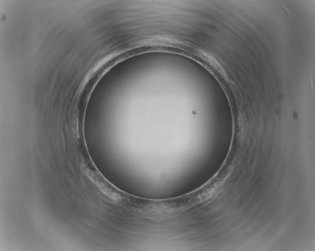 X0000060810931200511241932