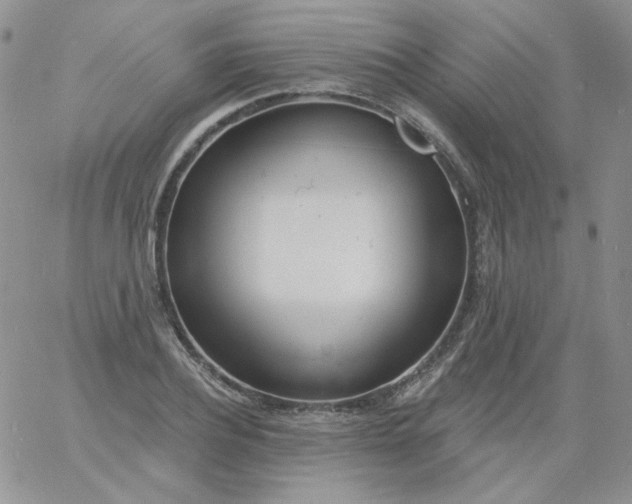 X0000060810932200511241932