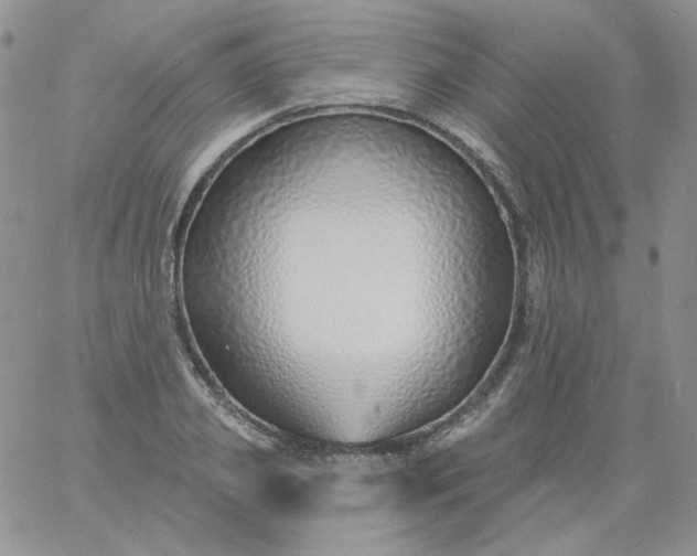 X0000060810933200511241932