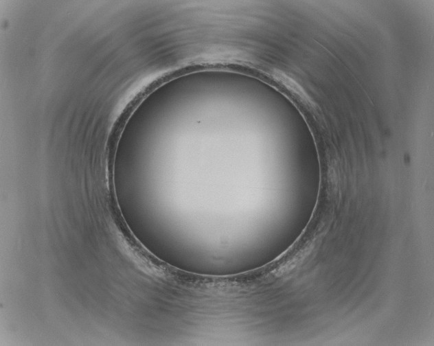 X0000060810934200511241932