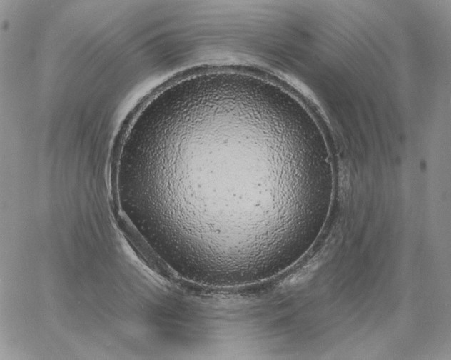 X0000060810935200511241932