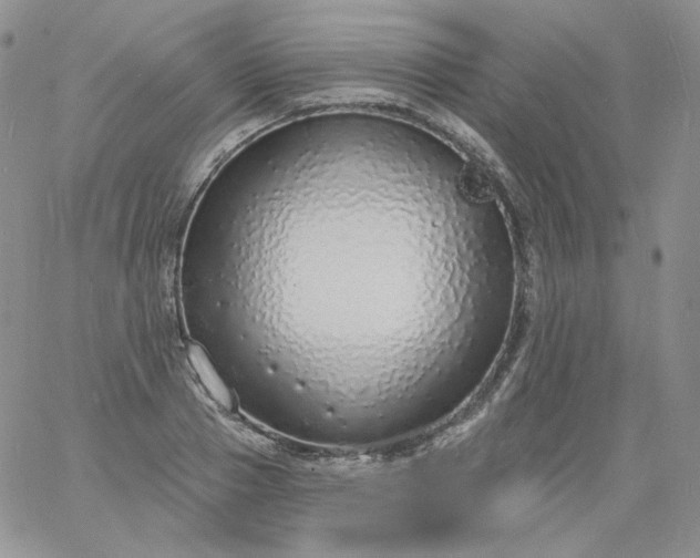 X0000060810937200511241932