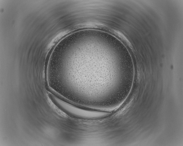 X0000060810938200511241932