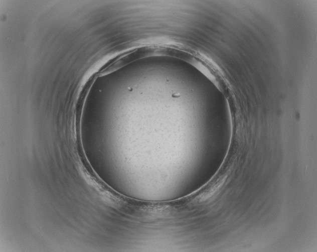 X0000060810939200511241932