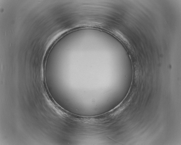 X0000060810940200511241932