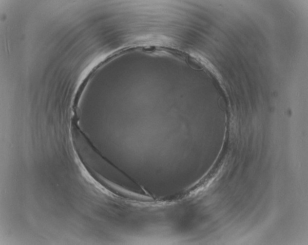 X0000060810941200511241932