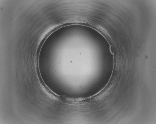 X0000060810942200511241932