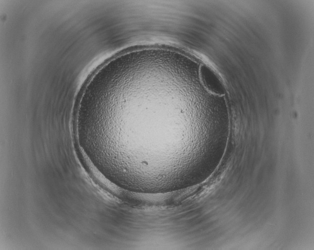 X0000060810943200511241932