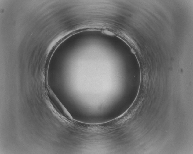 X0000060810944200511241932