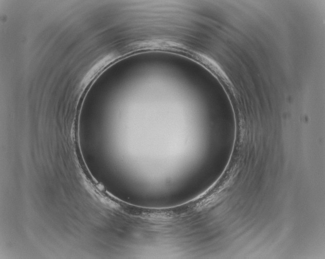 X0000060810946200511241932