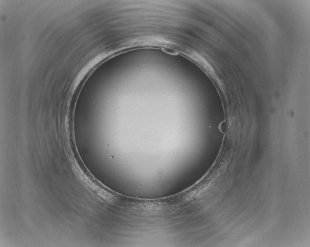 X0000060810947200511241932