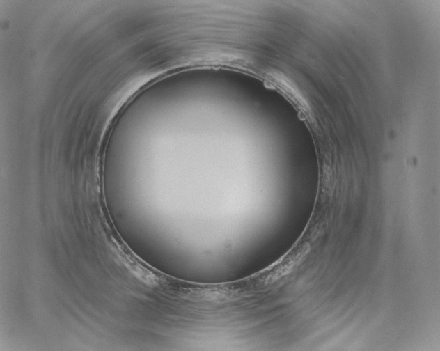 X0000060810948200511241932