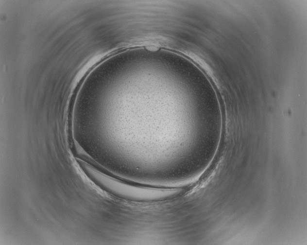 X0000060810949200511241932